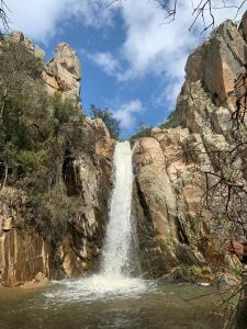 La casa dei Girasoli img50
