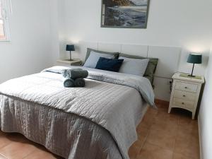 Beautiful 1 Bedroom Apartment with Mountain View