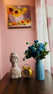 Studio Kéo lưới Hà Nội