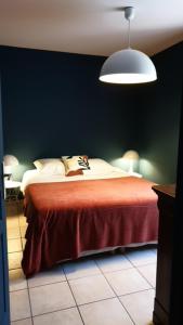 Appartements Blue**** Vue exceptionnelle sur le Rhone : photos des chambres