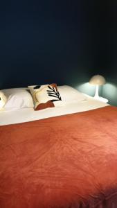 Appartements Blue**** Vue exceptionnelle sur le Rhone : photos des chambres