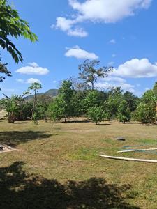Casa de Campo July