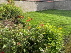 F2 vu sur l Allier pour 6 pers
