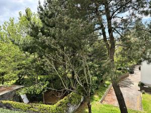 Résidence Caz-66-la Baule Escoublac - LA BAULE - PROCHE PLAGE MAE-3391