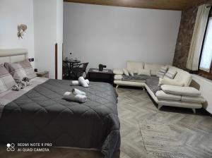 Bujtina Vila Dodo