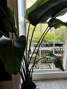 Beautiful 1 bedroom Georgian flat in Clifton Village with parking