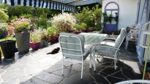 Le Jardin de Marie-Jeanne photo 18