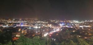 studio Blue Honey 972