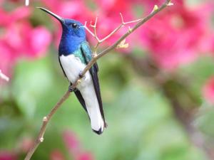 Finca Ecoturistica San Javier