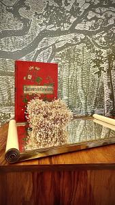 Élégant appartement lumineux hypercentre Orléans