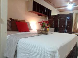 Comodo acogedor y con salida independiente - Apartmány, Managua