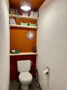 Appartements Grenoble, Ile Verte, charme, terrasse et calme : photos des chambres