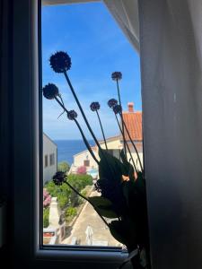 Apartments with a parking space Losinj, Losinj - 23165