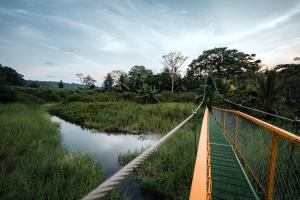 Natural Drake Bay Hotel Boutique