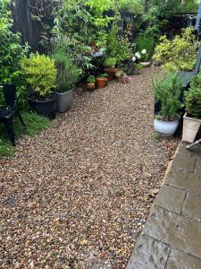 Apple Tree Lane Cottage