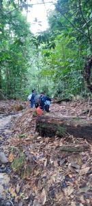 Huellas en la Selva SAS ZOMAC