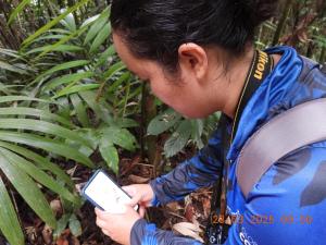 Huellas en la Selva SAS ZOMAC