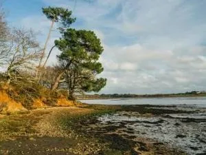 Maison spacieuse près de la forêt avec 3 ch. et WIFI - Nostang - FR-1-397-84 - Nostang
