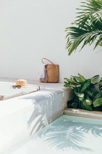 Casa Reyna and Casa Solesta 10 Bedroom