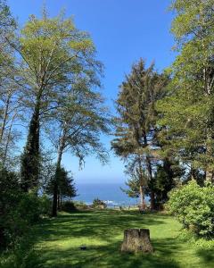 Beautiful Ocean View Cabin and Hot Tub!