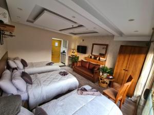 tourist hotel cairo downtown