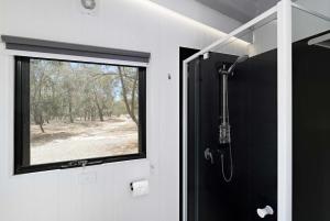 Bilby Park Escape 2 by Tiny Away