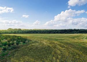Goosedale Lodges