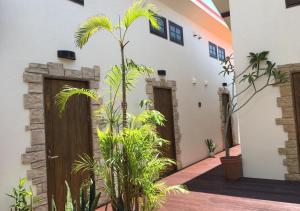 Coco terrace - Vacation STAY 16715v