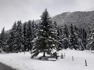 New Casa Maria Beatrice Mühlbach