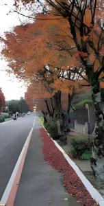 Apartamento no centro de Gramado Ile De France