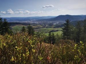 Gîte chalet paisible déconnexion totale
