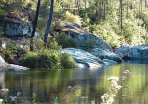 Campings Camping Mulinacciu : photos des chambres