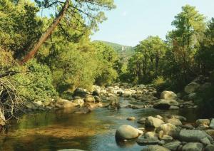 Campings Camping Mulinacciu : photos des chambres
