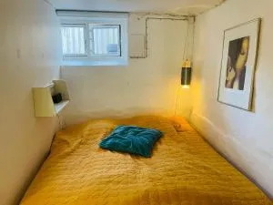 Charmerende kælderlejlighed i villa - Bronshoj