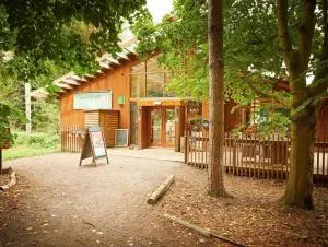 Thorpe Forest Cabins - Forest Holidays - 塞特福德