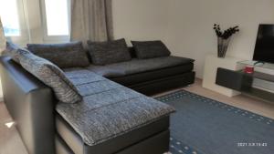 Gemütliche Wohnung an der Schweizer Grenze