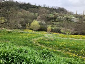Maisons de vacances A Cozy Accessible Cottage with a Private Garden Le Mas No 16 : photos des chambres