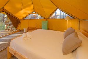Camping Pla de la Torre