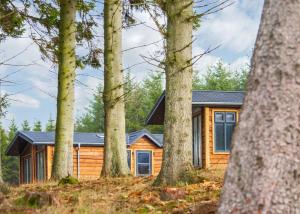 Thirlestane Woodland Lodges