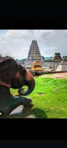 Jai Shivray - Koratgi