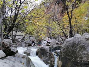 Apartman Ladini Lana