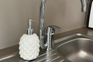 Appartements Coin de Paradis Lac et ocean Sans vis a vis : photos des chambres