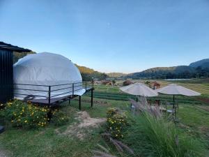 Ploy&Praew โดม 2