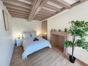 Maison 2ch - Netflix - Fléchettes - Hyper centre