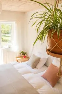 Rødegaard Mols - Toftebjerg