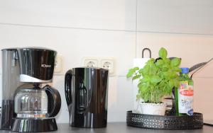 Fachwerkhaus im Herzen von Halberstadt