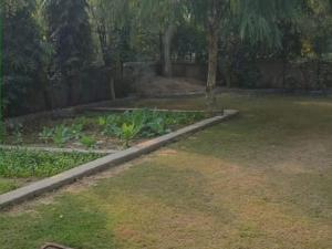Theaarambagh