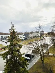 Seaside Escape - Pulli