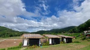 Ploy&Praew โดม 3