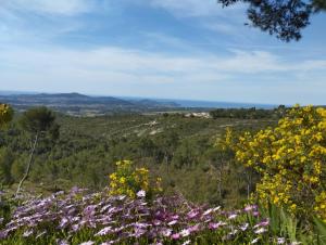 Maisons de vacances A l-ombre des Pins du Castellet : photos des chambres